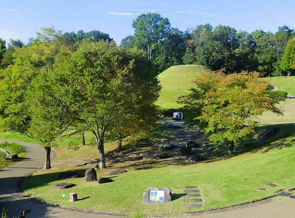 絶対にはずせない　飛鳥