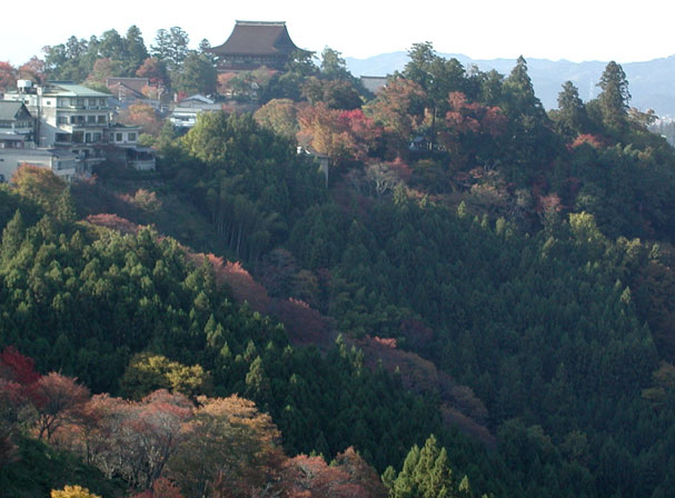 絶対にはずせない　吉野山