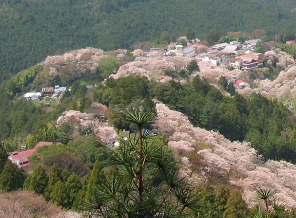 吉野山エリア